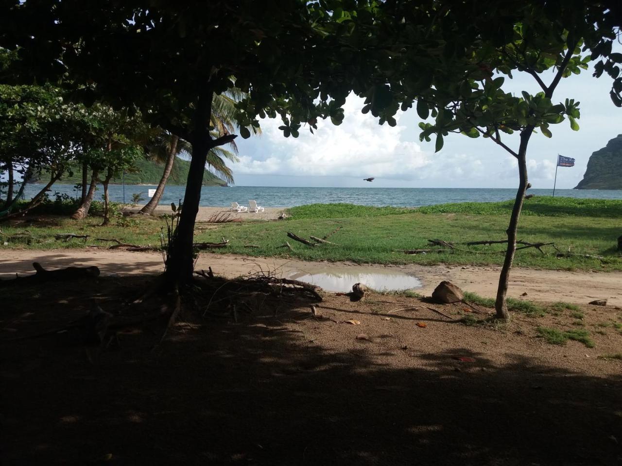 维约堡 The Reef Beach Huts酒店 外观 照片